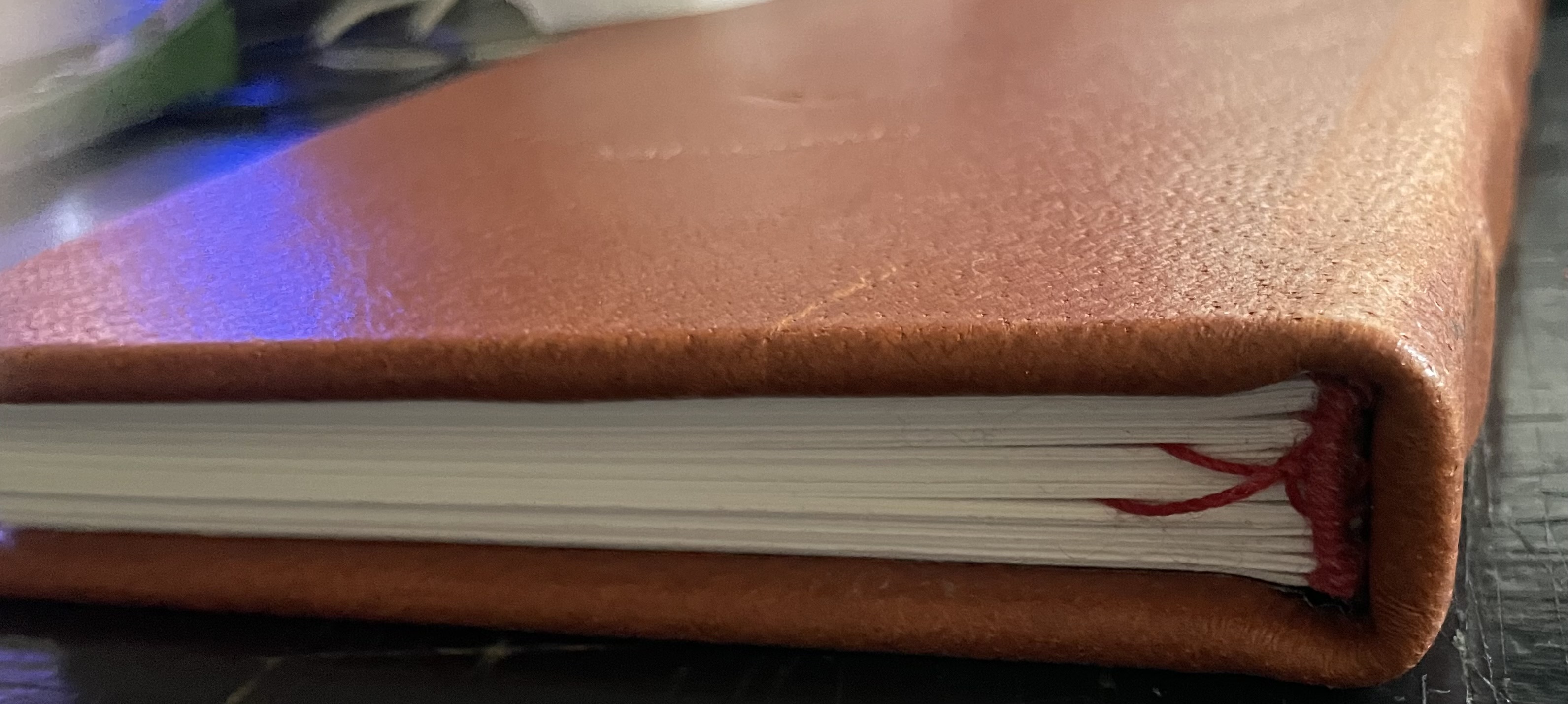 BOTTLE, Hardcover, view of sewn endbands